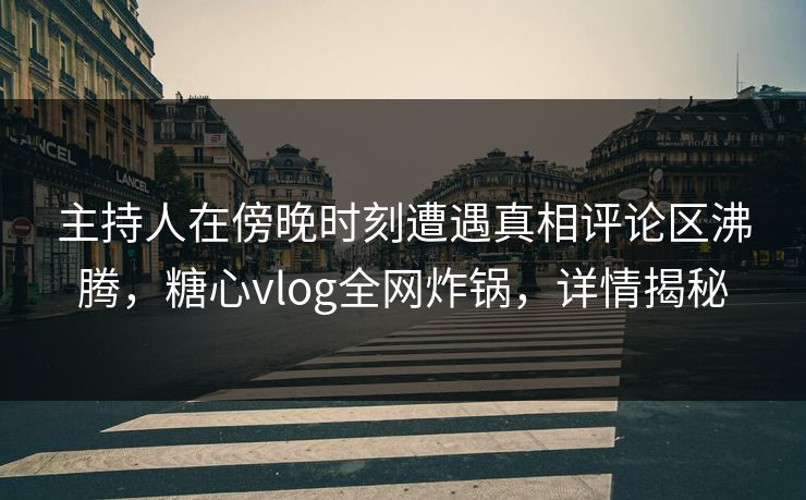 主持人在傍晚时刻遭遇真相评论区沸腾，糖心vlog全网炸锅，详情揭秘