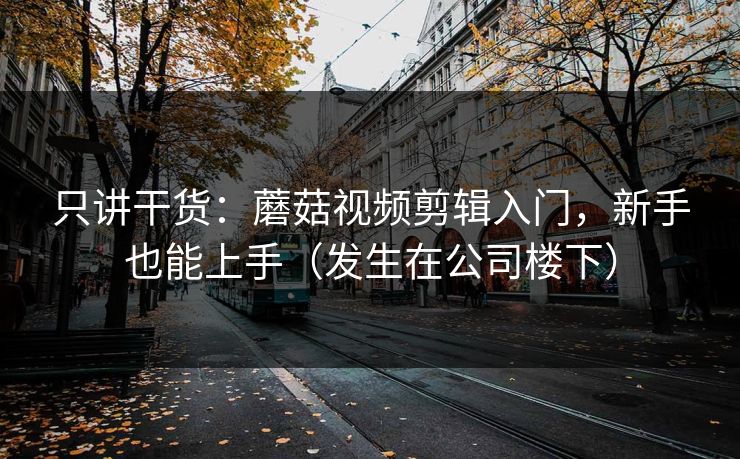 只讲干货:蘑菇视频剪辑入门,新手也能上手(发生在公司楼下)