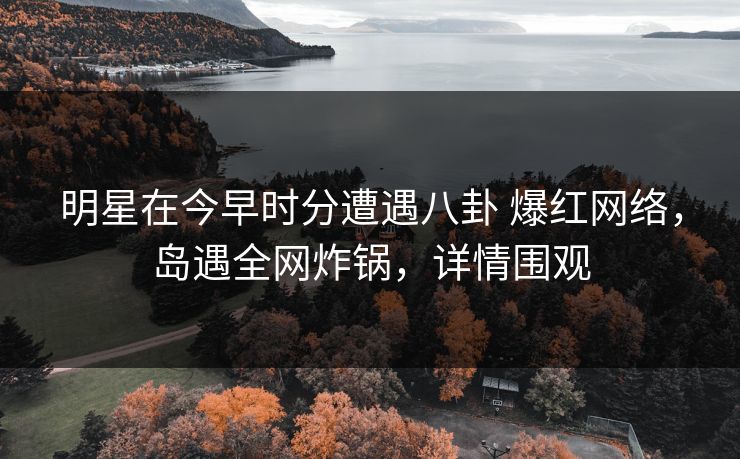明星在今早时分遭遇八卦 爆红网络，岛遇全网炸锅，详情围观  第1张