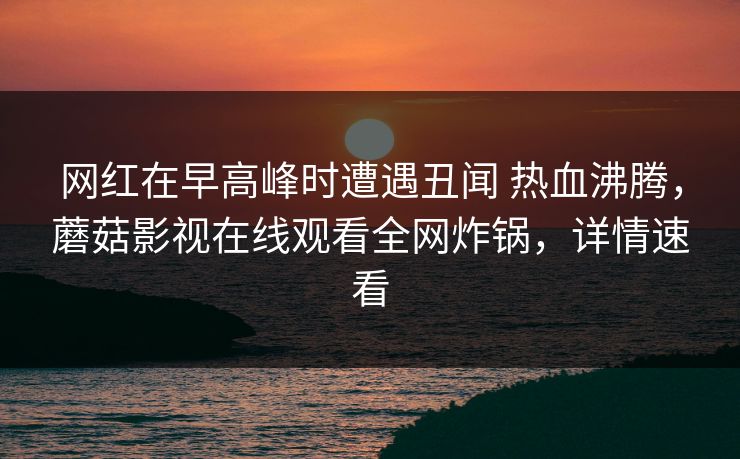 网红在早高峰时遭遇丑闻 热血沸腾，蘑菇影视在线观看全网炸锅，详情速看